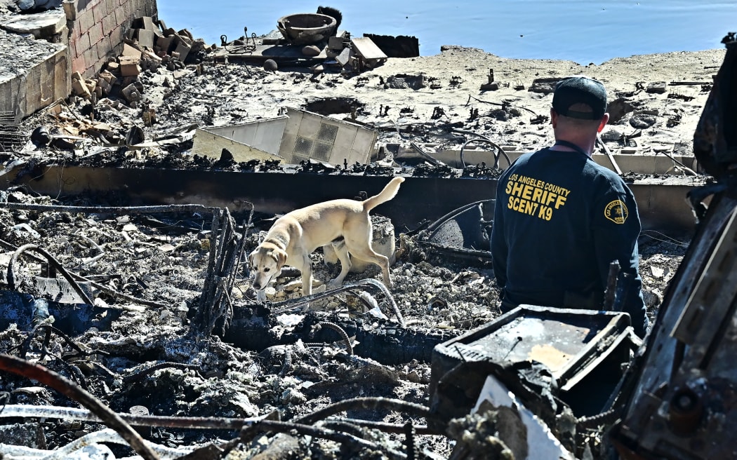A cadaver dog, from the Los Angeles County Sheriff, sniffs through the rubble of beachfront properties destroyed by the Palisades Fire along the Pacific Coast Highway  in Malibu, California on January 12, 2025. US officials warned "dangerous and strong" winds were set to push deadly wildfires further through Los Angeles residential areas January 12 as firefighters struggled to make progress against the flames. At least 16 people have been confirmed dead from blazes that have ripped through the city, reducing whole neighborhoods to ashes and leaving thousands without homes. (Photo by Frederic J. BROWN / AFP)