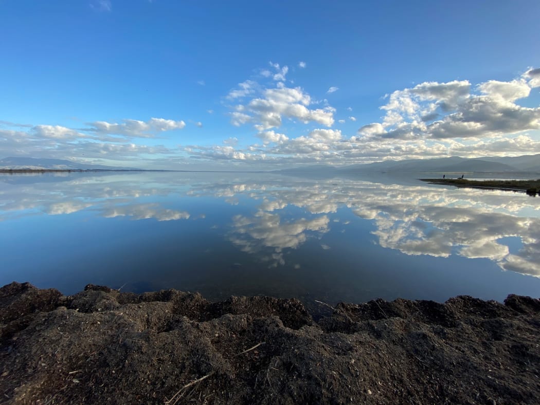 The Wairarapa Moana wetlands in south Wairarapa