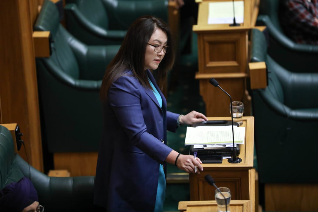 National MP Melissa Lee 21 Feb 2018