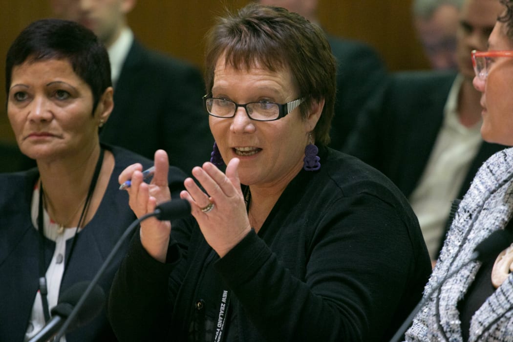 New Zealand First MP Tracey Martin tells the Justice and Electoral committee the words chosen to title a bill are crucial to outlining its focus.