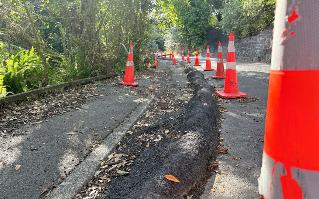 Tanekaha Rd will be closed for 10 weeks in March to repair a slip damaged during the 2023 storm events.