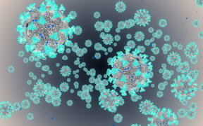 3D rendering, coronavirus cells covid-19 influenza flowing on gradient background as dangerous flu strain cases as a pandemic medical health risk concept of disease cells risk