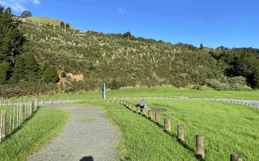 The 60 metre high slip covering the equivalent of 1.4 rugby fields and causing problems at Whau Valley Dam. It is the unforested area covered in pampas grass
(Photo supplied, WDC PLEASE CREDIT)