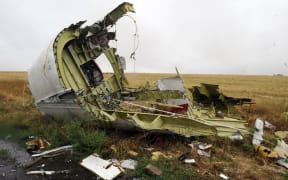 File photo taken on September 09, 2014 shows part of the Malaysia Airlines Flight MH17 at the crash site in the village of Hrabove (Grabovo), some 80km east of Donetsk.
