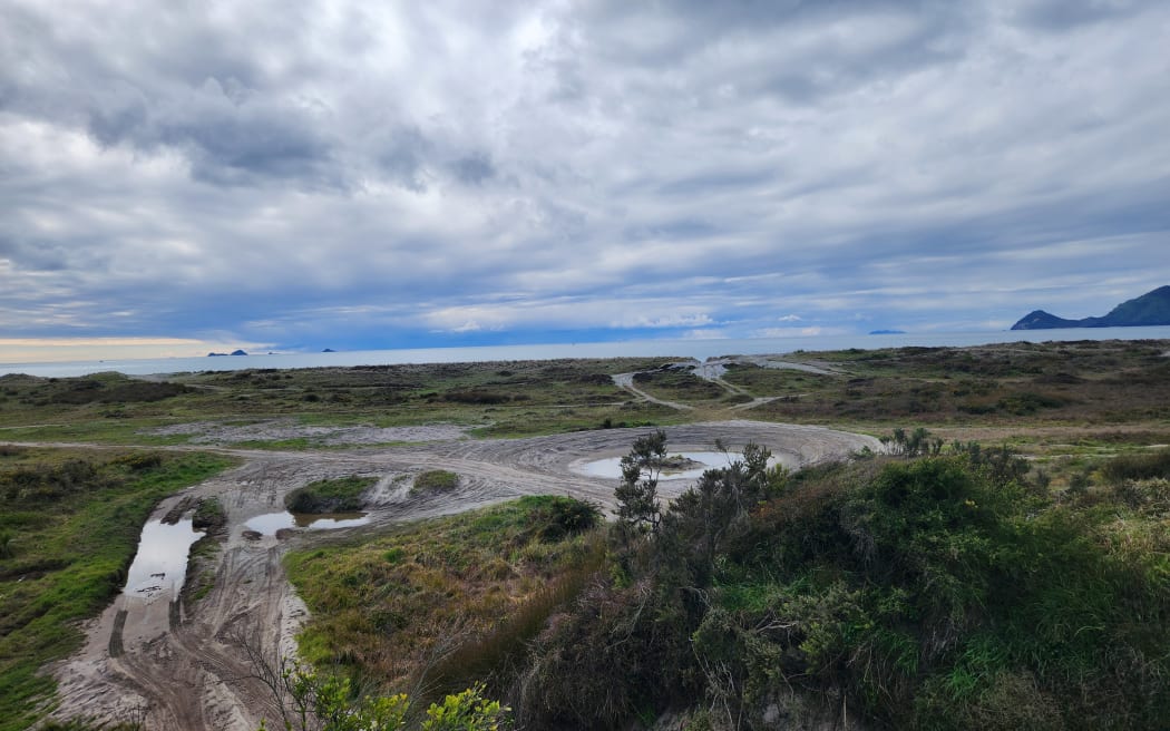 Tracks and "donut" circles made by vehicles amid the dunes and vegetation by the coastal Thornton Lagoon