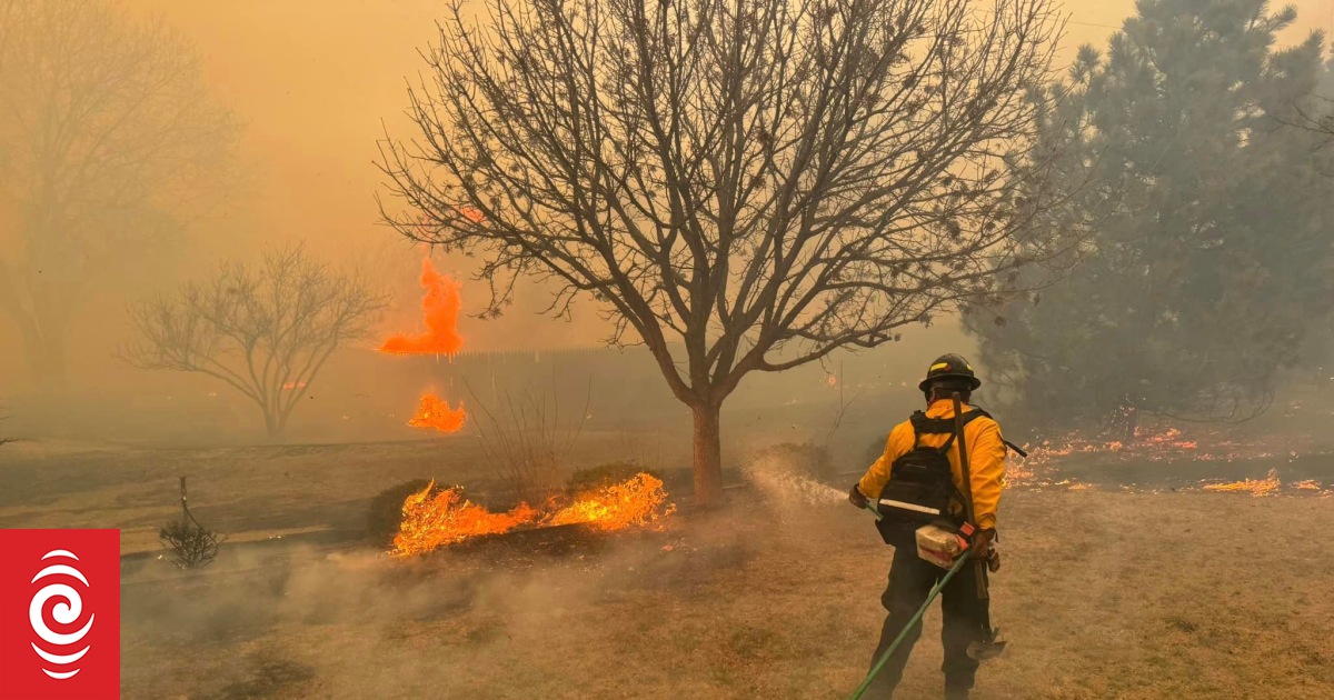 Texas Panhandle fire expands to 1 million acres, becoming state's largest ever - Vimarsana News