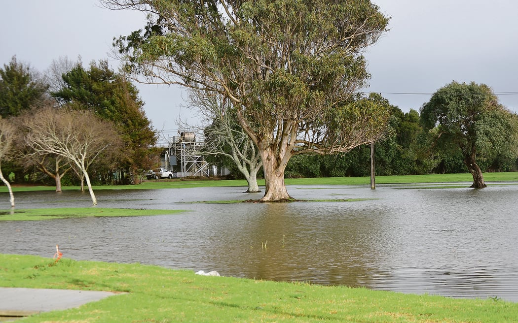 Water filled reserve areas around the skatepark after a pump station was shut down by ants.