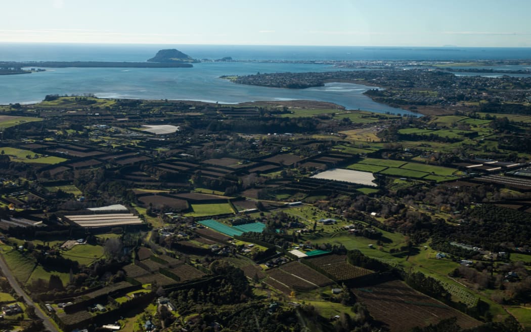 Western Bay of Plenty could have fewer community boards that represent all areas of the region.