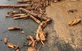 Debris lies across SH6 between Nelson and Blenheim after intense rain in August 2022.
