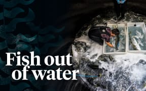 An image of a man holding a fish in a large tub behind stylised kelp illustration
