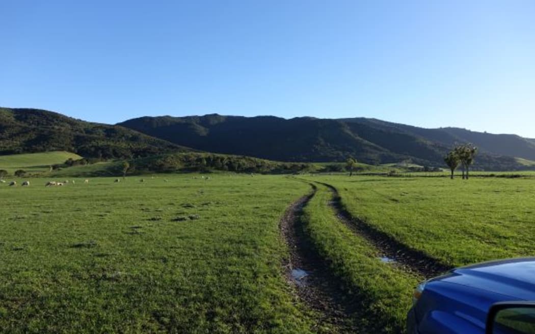 Pigeon Bush Reserve