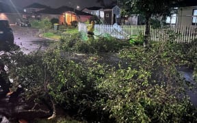 Erne Cres, East Tāmaki, after a tornado struck on Sunday night.