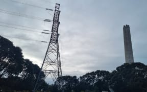 Transpower has begun removing wires from pylons once connected to a substation at the now defunct New Plymouth Power Station .