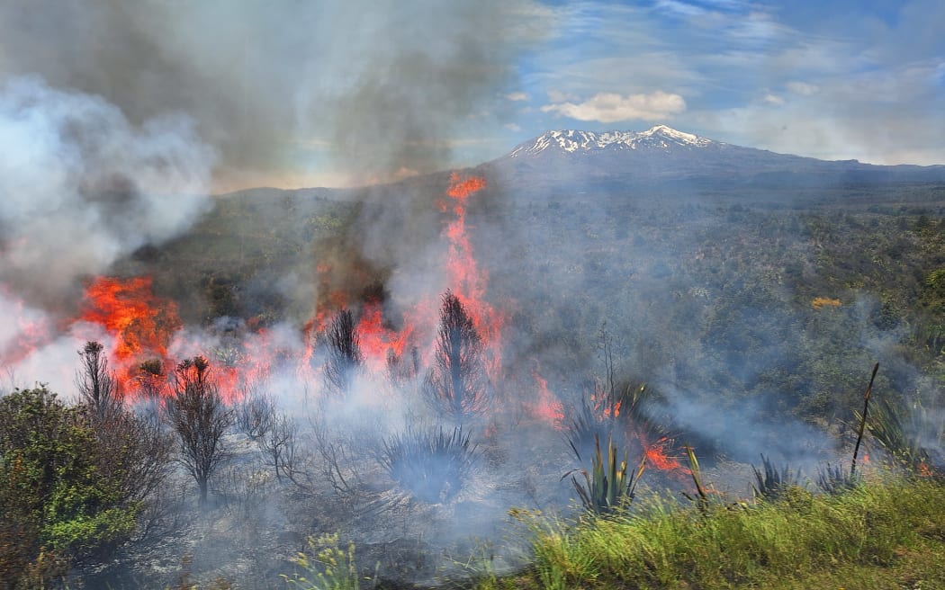 Fire in the Tongariro National Park.