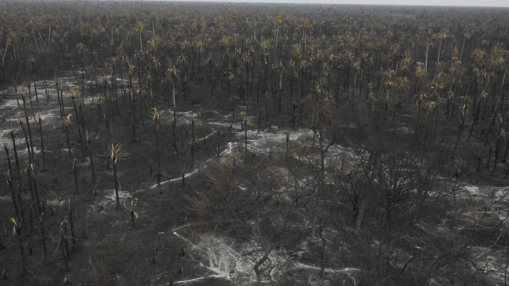 Aerial view of damage caused by wildfires in Otuquis National Park, in the Pantanal ecoregion of southeastern Bolivia, on August 26, 2019.