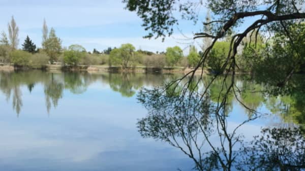Lake Rua, Christchurch.