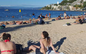 swimmers and sunbather on Oriental Bay beach