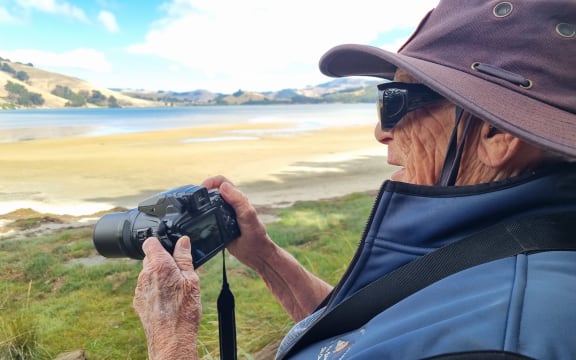 Janet Ledingham photographs sea lions.