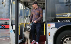 Pets on buses, Auckland Transport