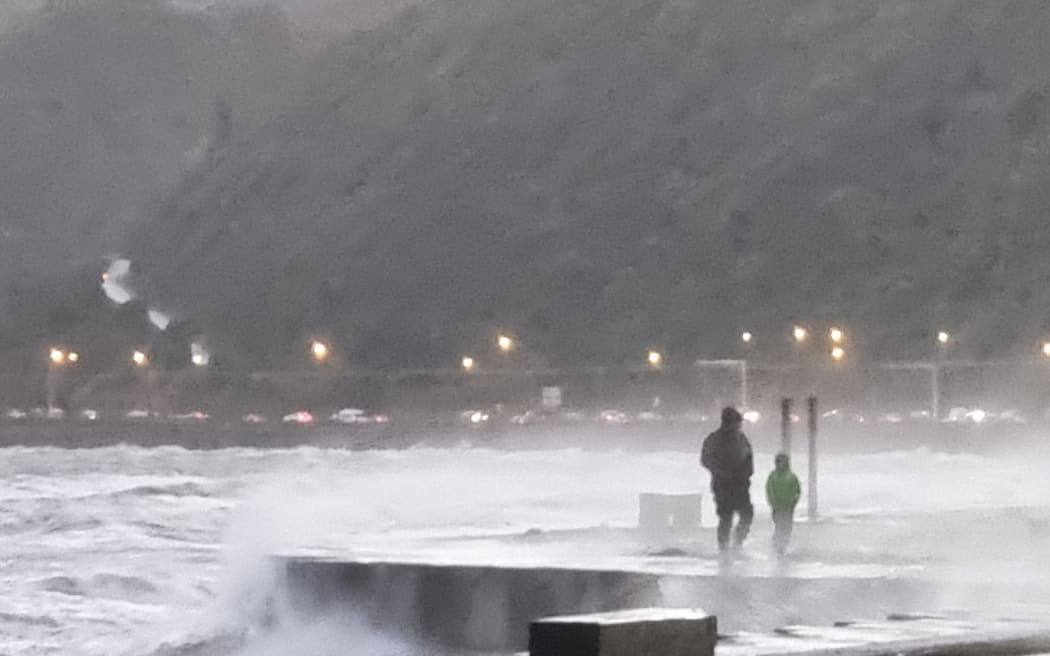 A father and child walk along the Petone foreshore today.