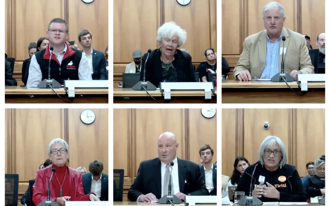 Select Committee Treaty Principles Bill submissions hearings begin RNZ News
