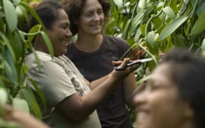 Jennifer Boggiss with Tongan workers in the vanilla vines