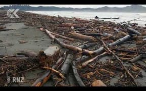 GDC to investigate where Tologa Bay logging debris came from