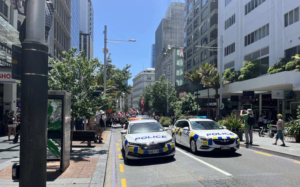 Hundreds marched in a peace rally organised by Toitu te Aroha in Auckland's CBD