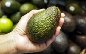 An avocado/File