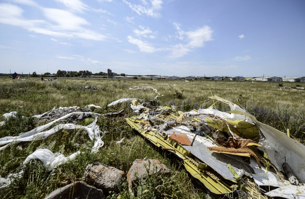 A picture shows debris at the crash site of the Malaysia Airlines Flight MH17 near the village of Hrabove, Ukraine.