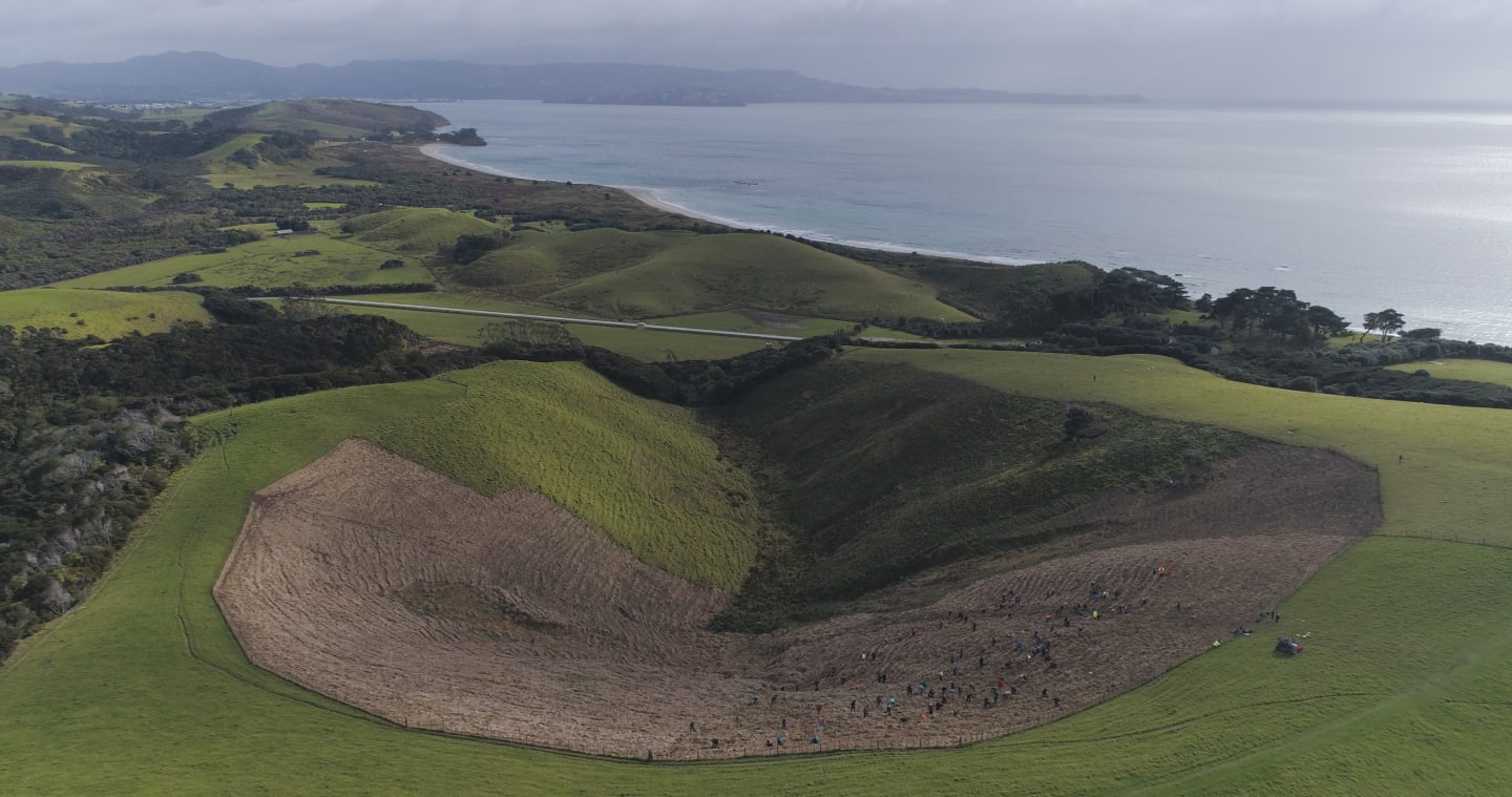 Planting day at Tāwharanui Open Sanctuary, north of Auckland