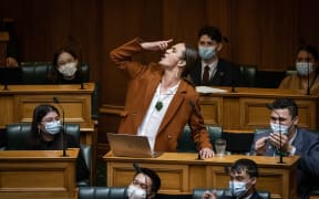 Rihari Campbell-Collier strikes a pose in the chamber. "I’m proud to be takatāpui. What a boring, straight old world this would be. When I walk outside, I want to live. I want to work. I want to pose!"