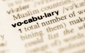 Dictionary page saying vocabulary