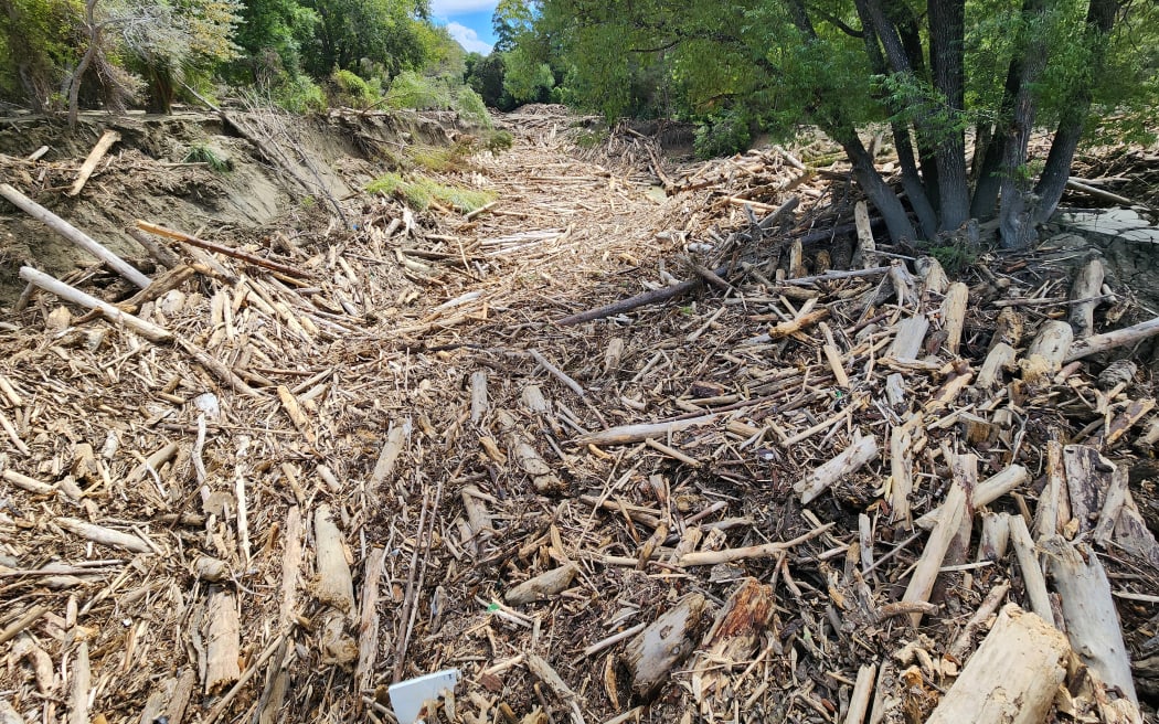 Slash in a Tologa Bay river bed after Cyclone Gabrielle in 2023.