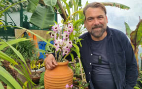 Michael Mansvelt from Jungle Nurseries