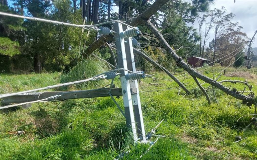 Damage to a section of powerline north of Whangamatā.