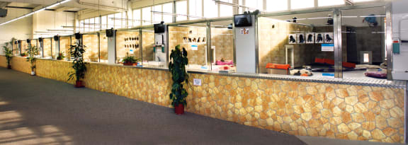 Biggest pet shop in the world outlet