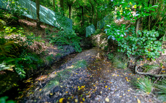 Kumutoto Stream, The hidden river in wellington city