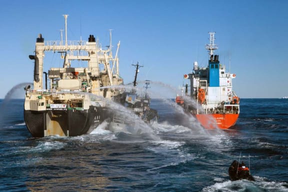 A Japanese whaling vessel, left, and Sea Shepherd ship Bob Barker, centre, in February 2013.