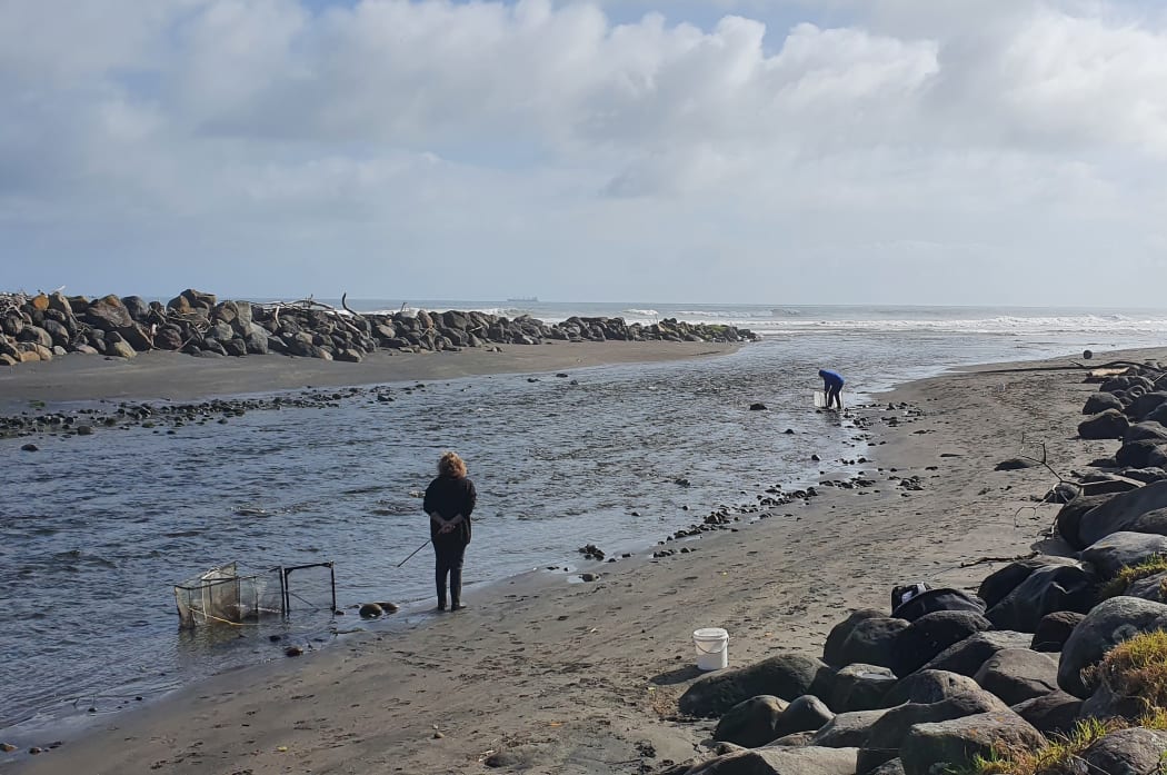 Whitebaiters in Taranaki