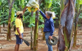 Matt Weinert and NWS banana grower Colin Singh.