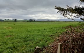 Central North Island farmland