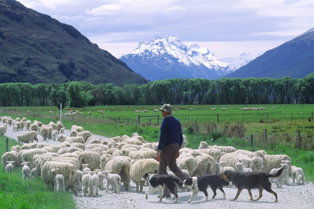 Farmer, South Island.