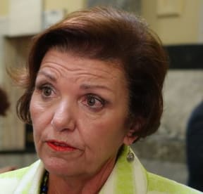 Social Development Minister Anne Tolley