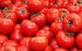 tomatoes