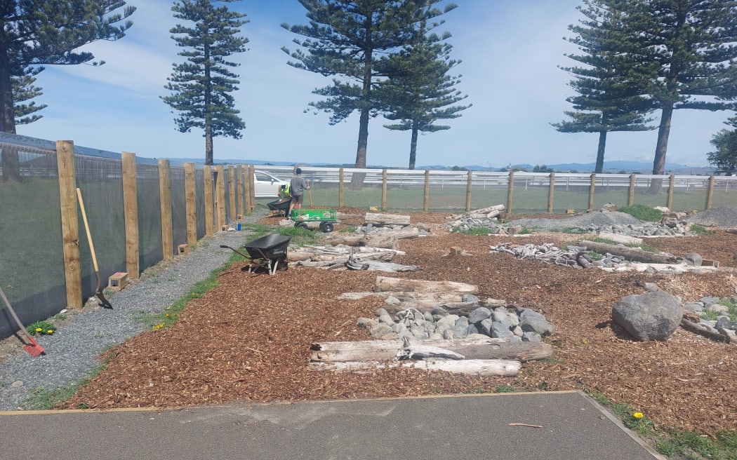 Inside the predator-proof enclosure on Marine Parade. Photo / Linda Hall