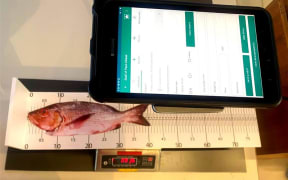 Ikasavea App 1