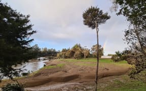 Ko Waitangi te Awa Trust planting project