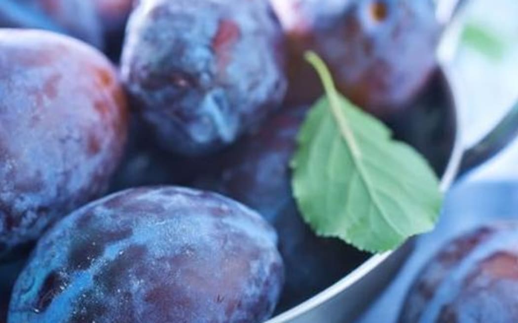 Black Doris Plums