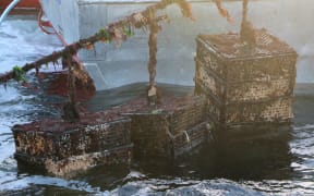 Boat cranes lift oyster cages from the water in Big Glory Bay.